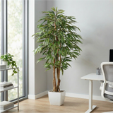 Kopu® Kunstplant Ficus 150 cm met witte Pot - 720 bladeren