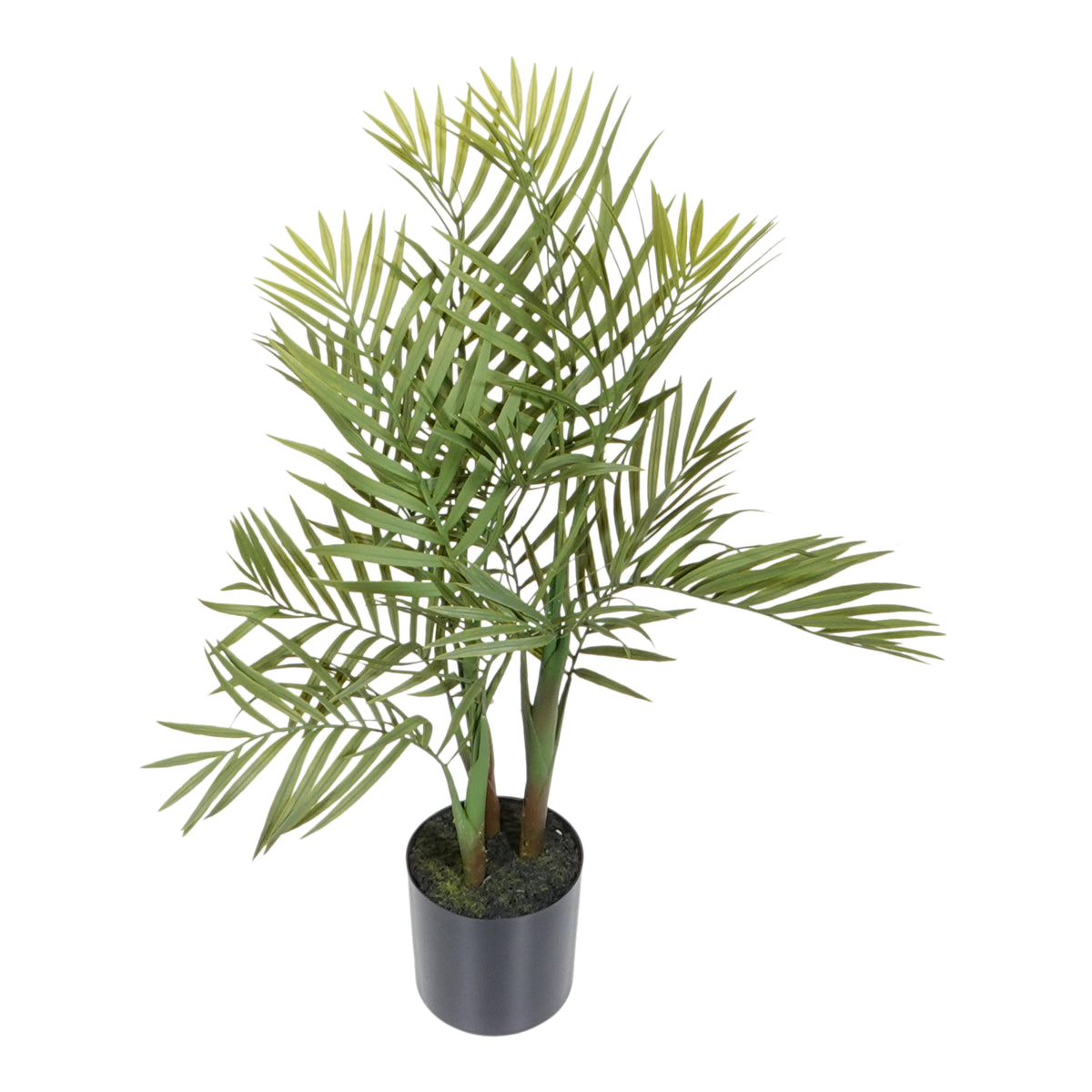 Kopu® Kunstplant Bergpalm 65 cm 3 stammen - in zwarte pot - Nepplant