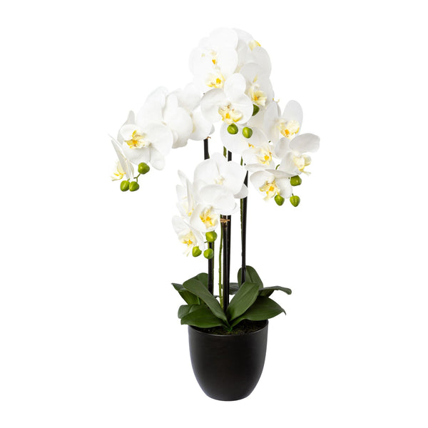 Kopu® Kunstbloem Orchidee 69 cm Wit met zwarte Pot - Phalenopsis