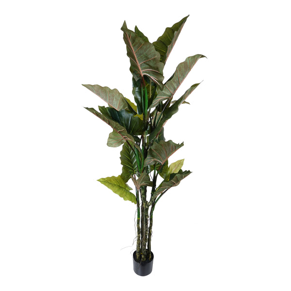 Kopu® Kunstplant Colocasia 180 cm - 19 bladeren - in zwarte pot