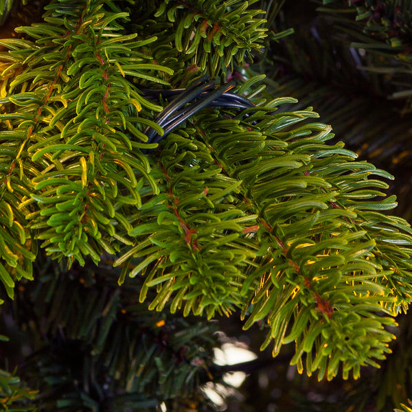 Premium Kerstboom Excellent Trees® LED Mantorp 150 cm met 190 Lampjes