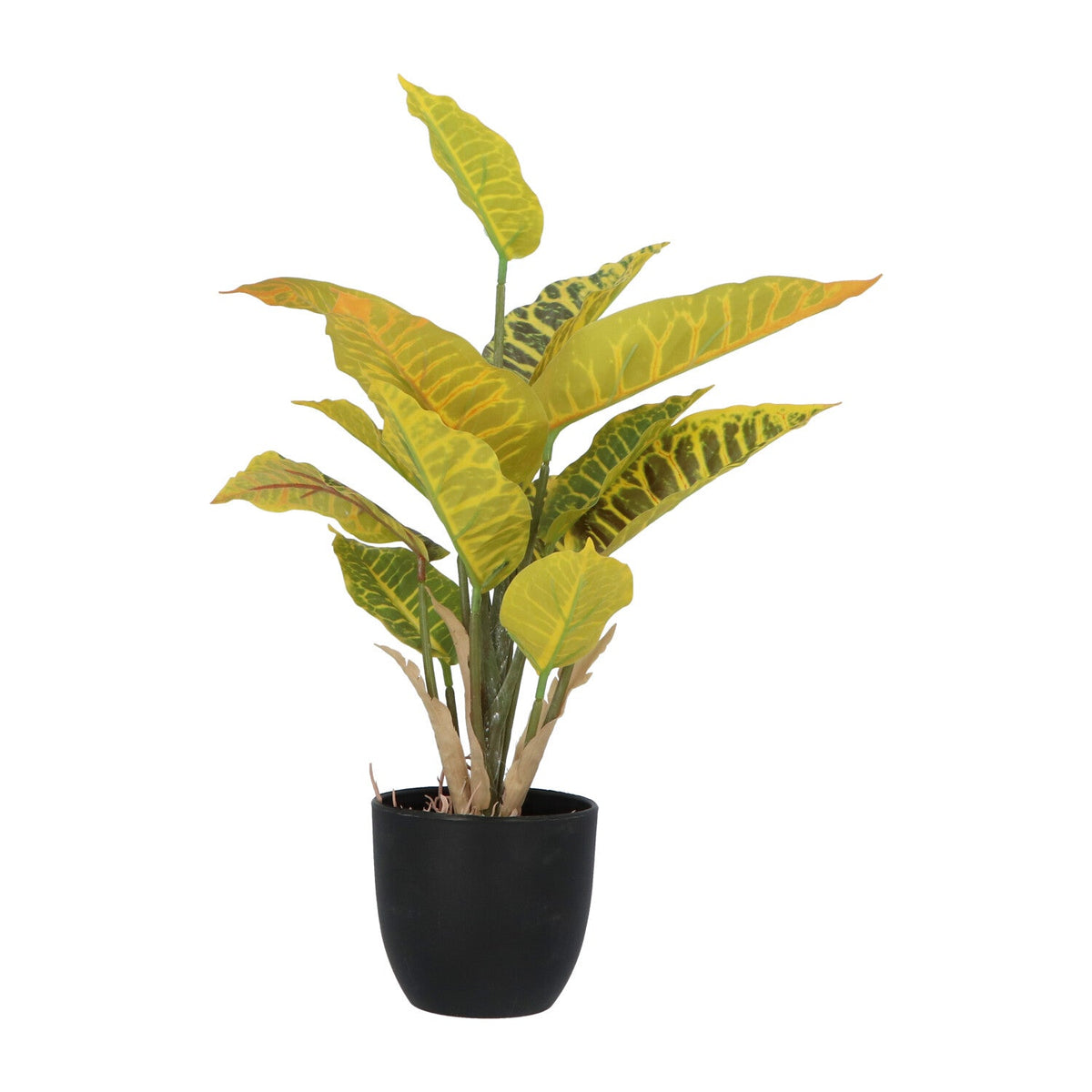 Kopu® 2 stuks Kunstplant Croton 35 cm - 14 bladeren - in zwarte pot