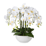 Kopu® Kunstbloem Orchidee 54 cm Wit met Schaal - Phalenopsis