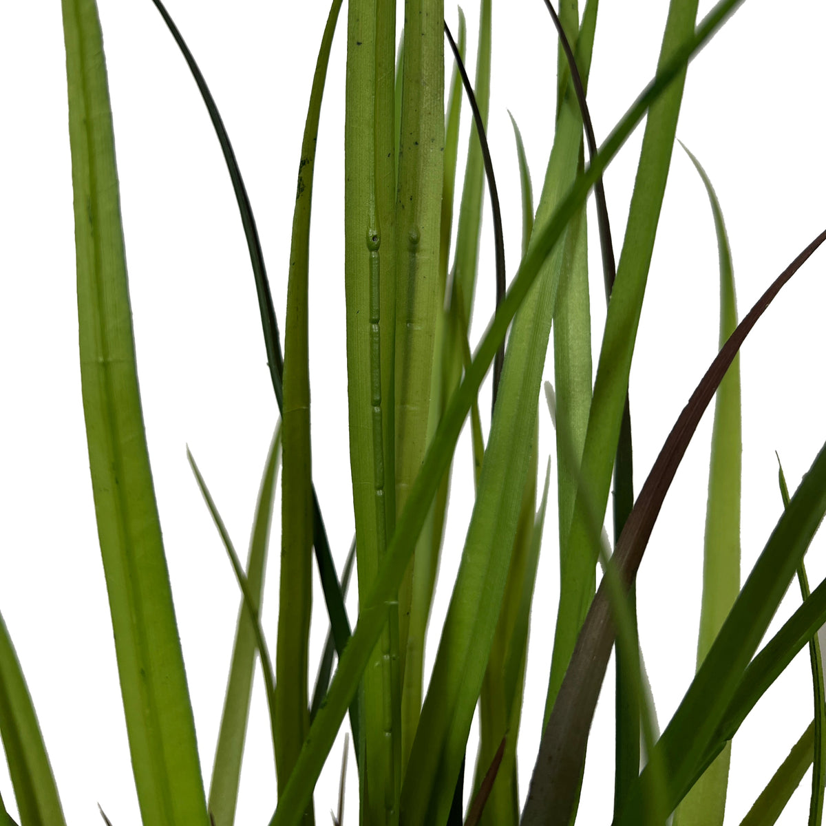 Kopu® Kunstplant Grasplant 90 cm - in zwarte pot - Nepplant