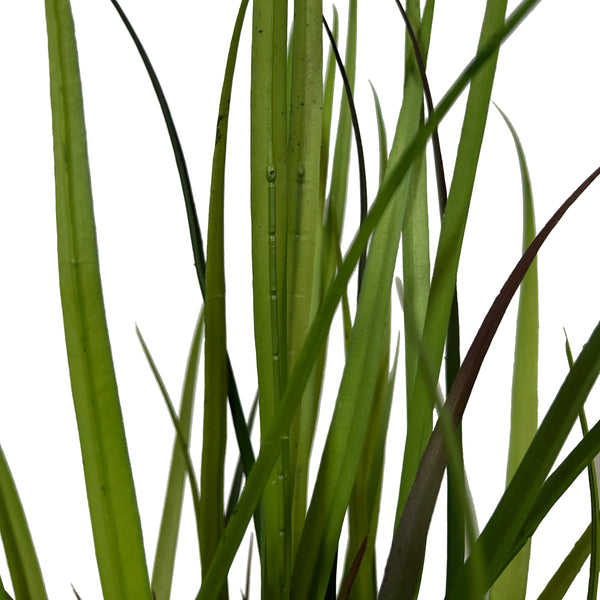 Kopu® Kunstplant Grasplant 90 cm - in zwarte pot - Nepplant