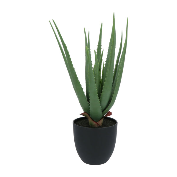Kopu® Kunstplant Aloe Vera 55 cm in zwarte Bloempot - 17 bladeren