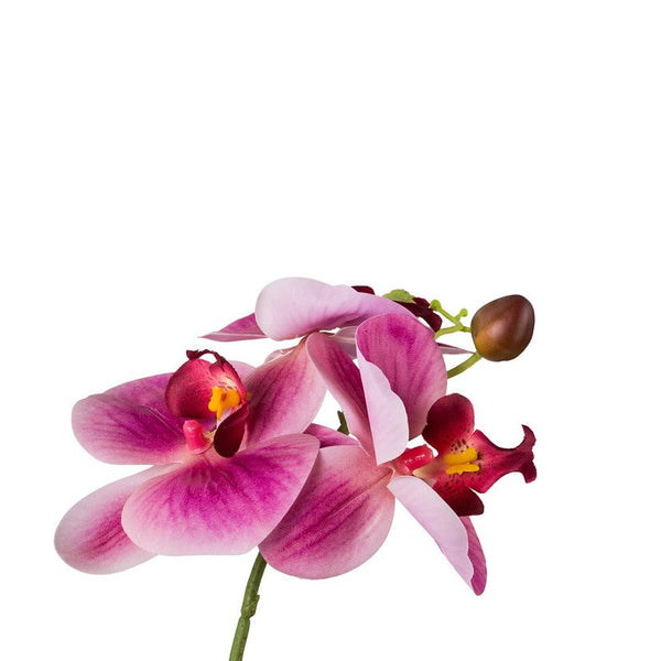 Kopu® Set 2 stuks Kunstplant Mini Orchidee 27 cm in witte Sierpot - Roze