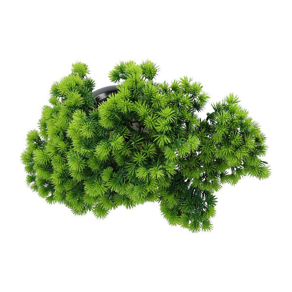 Kopu® Kunstplant Bonsai Lariks 26 cm met zwarte Pot - Bonsai boompje