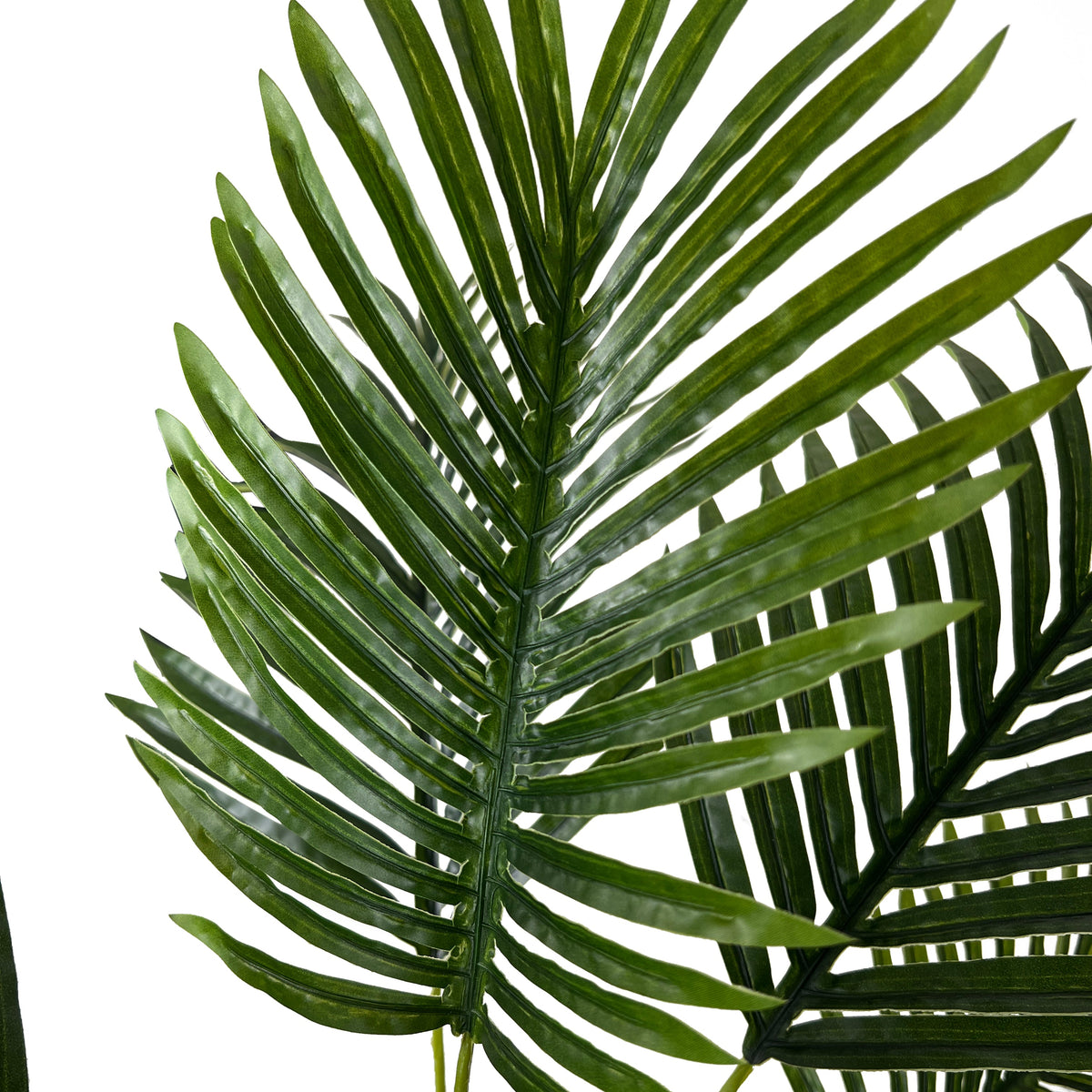 Kopu® Kunstplant Kentiapalm 100 cm 12 varens - zwarte pot - Nepplant