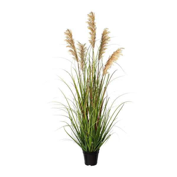 Kopu® Kunstplant Pluimgierst 122 cm - 5 halmen - in zwarte pot