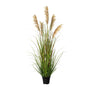 Kopu® Kunstplant Pluimgierst 122 cm - 5 halmen - in zwarte pot