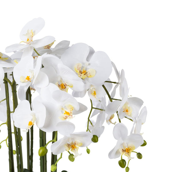 Kopu® Kunstbloem Orchidee 54 cm Wit met Schaal - Phalenopsis