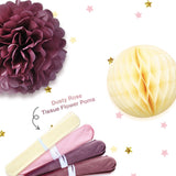 Pompom en Lampionnen Feest Versiering Roze