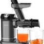 Safecourt Kitchen Slowjuicer - Juicer - Groenten en Fruitpers - BPA-vrij - 700ml - Grijs