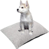 Autostoel Hond - Zwart - 50 x 55 x 35 cm - Hondenmand Met Veiligheidsriempje Voor In De Auto - Automand Hond - Hondenstoel voor Honden