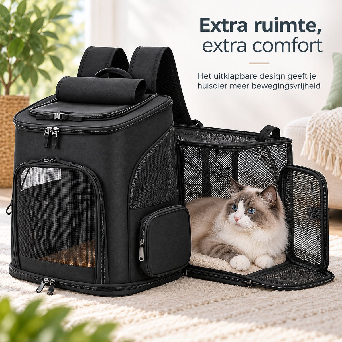 Dierenrugzak voor Kat & Kleine Hond – Uitklapbare Kattenrugzak – Reistas tot 10 kg – Ademend Mesh – 33 x 26 x 40 cm – Transporttas voor Katten en Honden – Zwar
