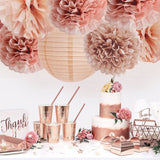 Pompom en Lampionnen Feest Versiering Roze