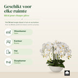 Kopu® Kunstbloem Orchidee 54 cm Wit met Schaal - Phalenopsis
