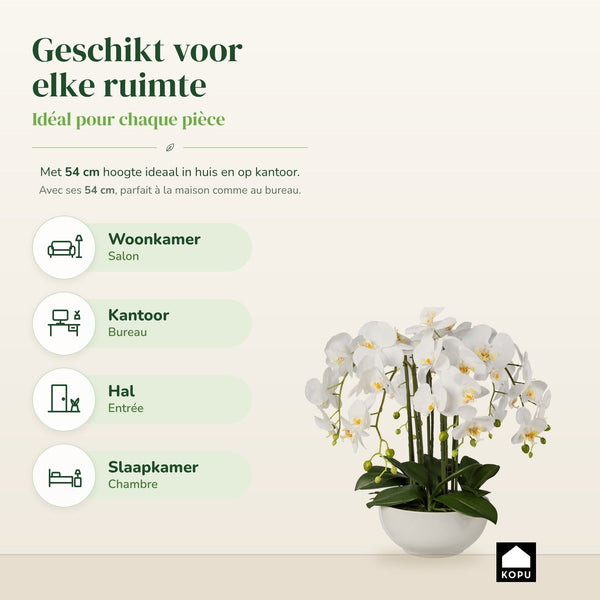 Kopu® Kunstbloem Orchidee 54 cm Wit met Schaal - Phalenopsis