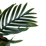 Kopu® Kunstplant Arecapalm 130 cm 3 Stammen - Real Touch - Goudpalm
