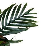 Kopu® Kunstplant Arecapalm 170 cm 9 Stammen - Real Touch - Goudpalm