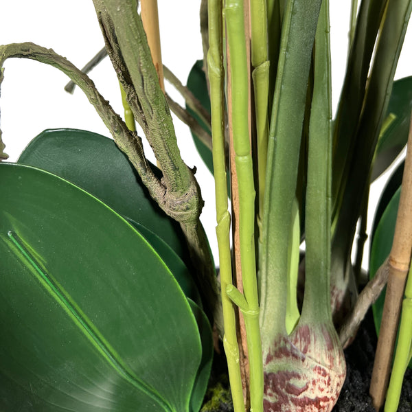 Kopu® Kunstplant Orchidee 160 cm Wit in Hoge Bloempot - Phalaenopsis