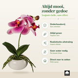Kopu® Set 2 stuks Kunstplant Mini Orchidee 27 cm in witte Sierpot - Roze