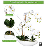 Kopu® Kunstbloem Orchidee 60 cm Wit met Schaal Ovaal - Phalenopsis