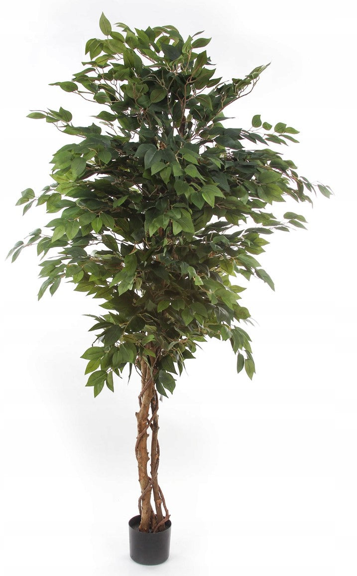 Kopu® Kunstplant Ficus 125 cm in pot met Natuurstam