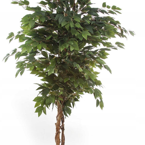 Kopu® Kunstplant Ficus 125 cm in pot met Natuurstam
