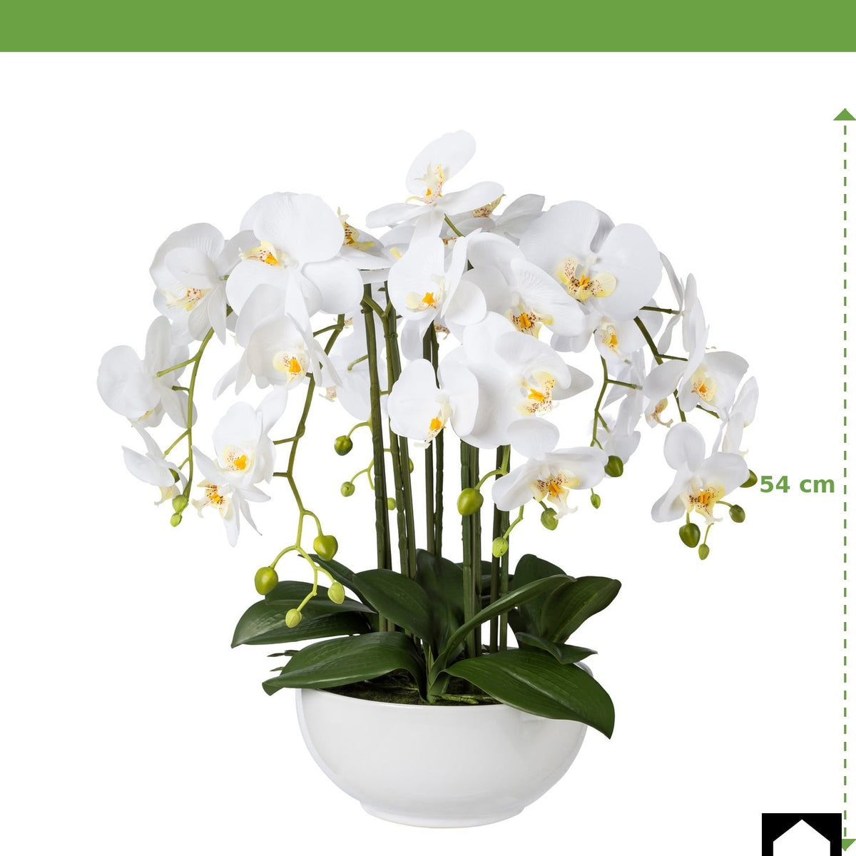 Kopu® Kunstbloem Orchidee 54 cm Wit met Schaal - Phalenopsis