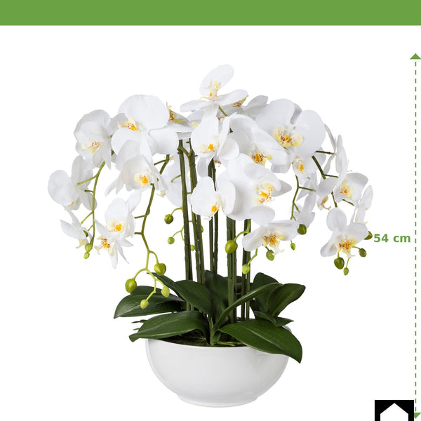 Kopu® Kunstbloem Orchidee 54 cm Wit met Schaal - Phalenopsis