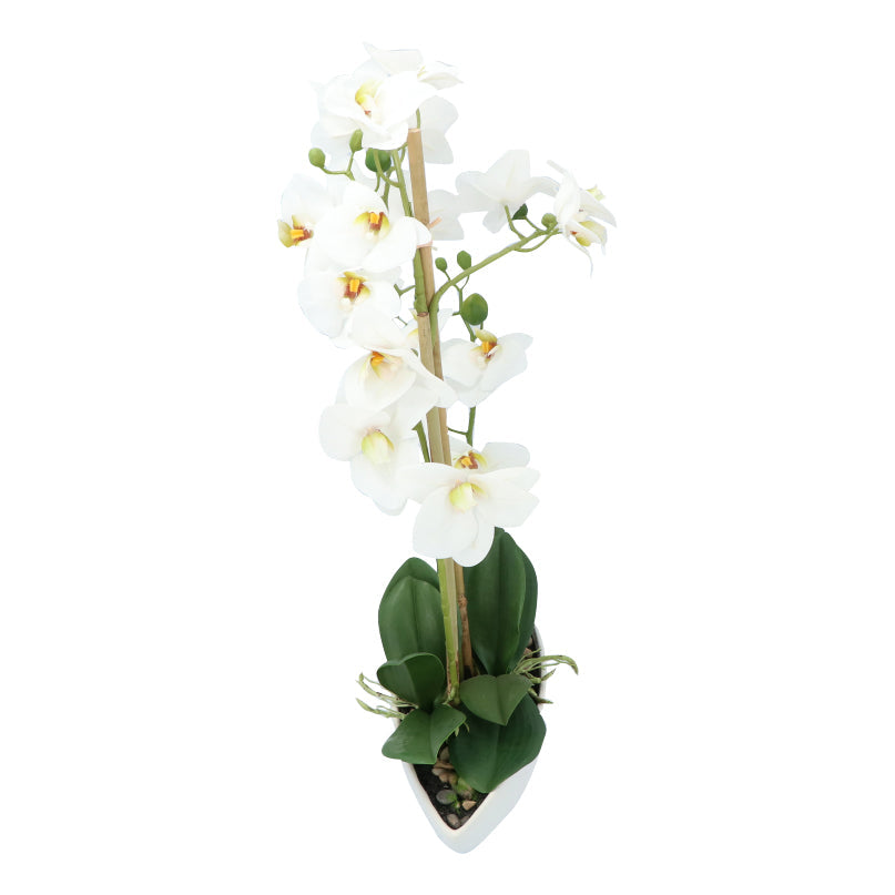 Kopu® Kunstbloem Orchidee 60 cm Wit met Schaal Ovaal - Phalenopsis