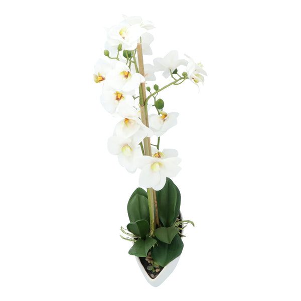Kopu® Kunstbloem Orchidee 60 cm Wit met Schaal Ovaal - Phalenopsis