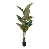 Kopu® Kunstplant Colocasia 180 cm - 19 bladeren - in zwarte pot