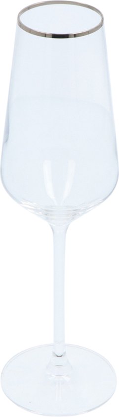 Alvito Champagneglazen set van 6 stuks - inhoud 21 cl - met Zilveren Rand