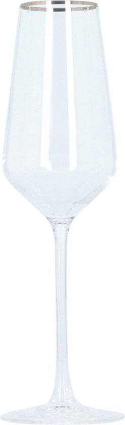 Alvito Champagneglazen set van 6 stuks - inhoud 21 cl - met Zilveren Rand