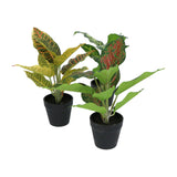 Kopu® set 3 verschillende kunstplantjes 25 cm hoog