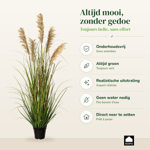 Kopu® Kunstplant Pluimgierst 122 cm - 5 halmen - in zwarte pot
