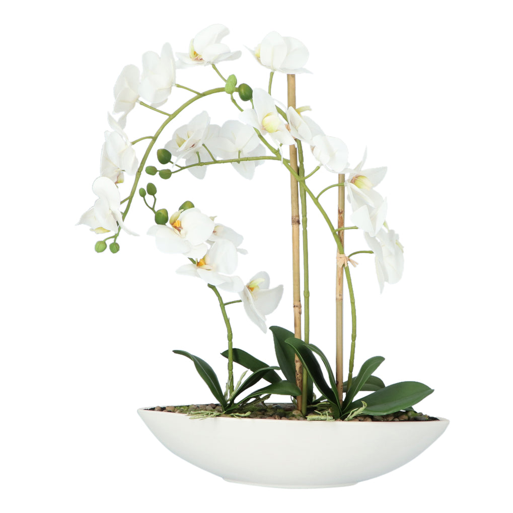 Kopu® Kunstbloem Orchidee 60 cm Wit met Schaal Ovaal - Phalenopsis