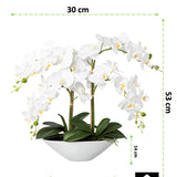 Kopu® Kunstbloem Orchidee 53 cm Wit met Schaal Ovaal - Phalenopsis