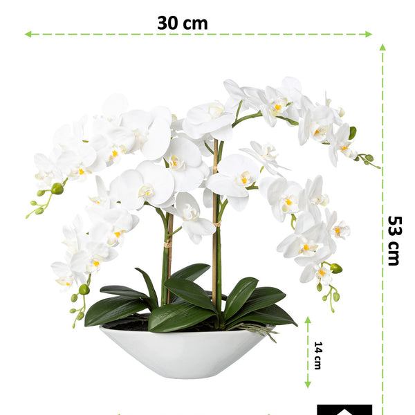 Kopu® Kunstbloem Orchidee 53 cm Wit met Schaal Ovaal - Phalenopsis