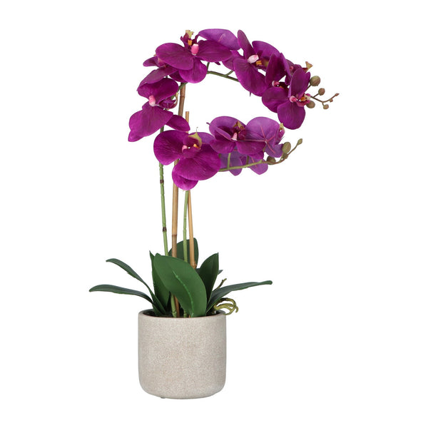 Kopu® Kunstbloem Orchidee 60 cm Lila - cement Sierpot - Phalenopsis