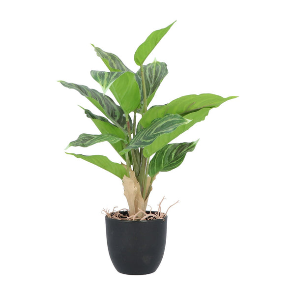 Kopu® 2 stuks Kunstplant Aglaonema 35 cm - 14 bladeren - in zwarte pot