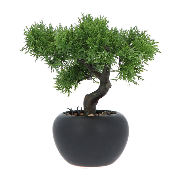 Kopu® 2 stuks Kunstplant Bonsai boompje Ceder 19 en 25 cm met Pot