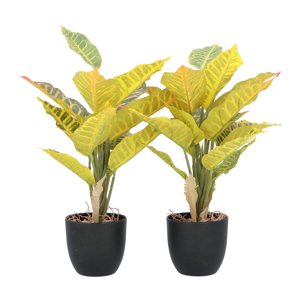 Kopu® 2 stuks Kunstplant Croton 35 cm - 14 bladeren - in zwarte pot