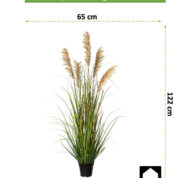 Kopu® Kunstplant Pluimgierst 122 cm - 5 halmen - in zwarte pot