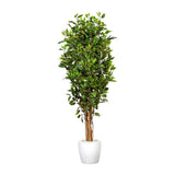 Kopu® Kunstplant Ficus Smal 150 cm in pot met Natuurstam