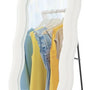Passpiegel Golfdesign 160 x 60 cm Breukvast Glas - Wit