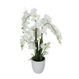Kopu® Kunstbloem Orchidee 67 cm Wit In Bloempot Rond - Phalaenopsis